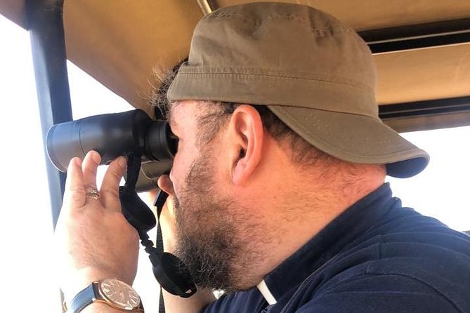 Half Day Safaris By Robbie Williams Safaris - Pickup and Timeliness Essentials
