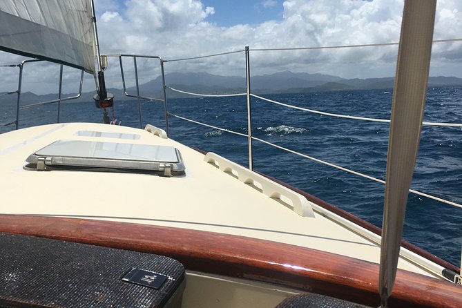Half Day Sail and Snorkel With the Turtles - Traveler Reviews and Experiences