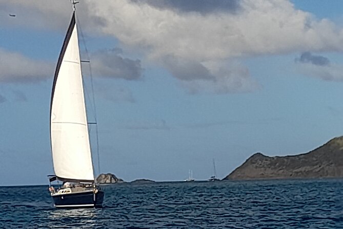 Half-Day Sailing Boat Adventure - Stellar Guest Reviews