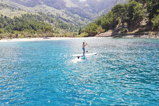 Half Day Sailing Excursion Along the Coast - Safety and Group Size