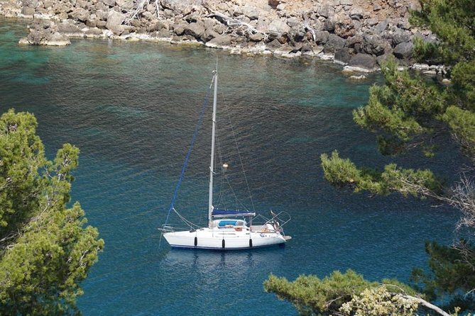 Half Day Sailing Excursion Along the Coast - Booking Information