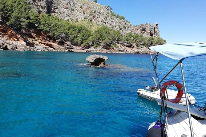Half Day Sailing Excursion Along the Coast With Sunset - Customer Feedback and Testimonials