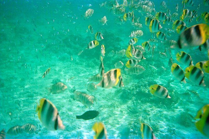 Half-Day Sailing Trip on the Lagoon of Tahiti Comments - Key Points