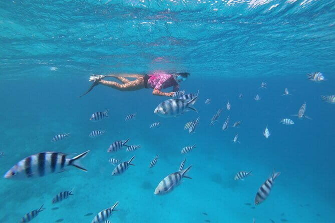 Half-Day Sailing Trip on the Lagoon of Tahiti Comments - FAQ