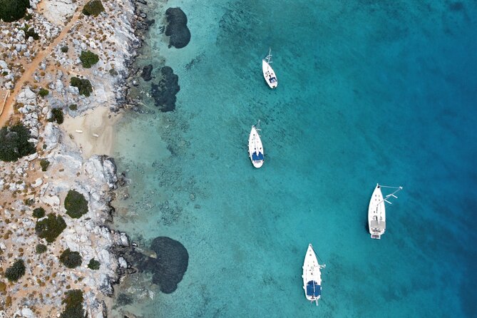 Half-Day Sailing Trips to Dia Island - Sailing Experience and Highlights