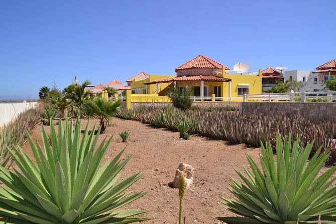 Half-Day Sal Island Tour With Shark Experience From Santa Maria - Admiring the Mirage of Terra Boa
