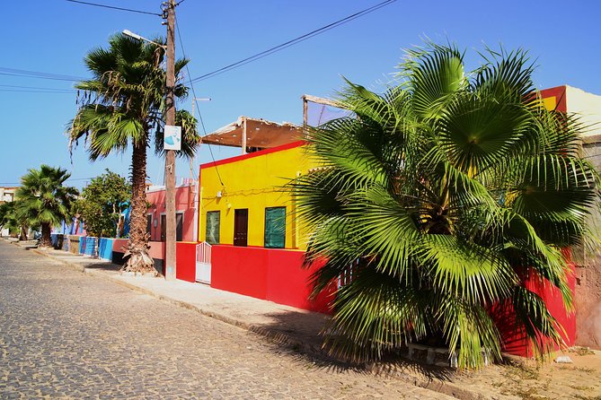 Half-Day Sal Island Tour With Shark Experience From Santa Maria - Inclusion and Exclusion Details