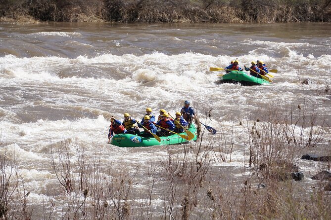 Half-Day Salt River Whitewater Rafting - Lunch Options