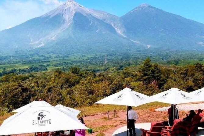 Half Day San Cayetano Farm and Coffee Tour From Puerto Quetzal - Booking and Cancellation