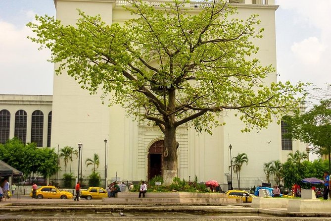Half Day| San Salvador City Tour - Key Attractions