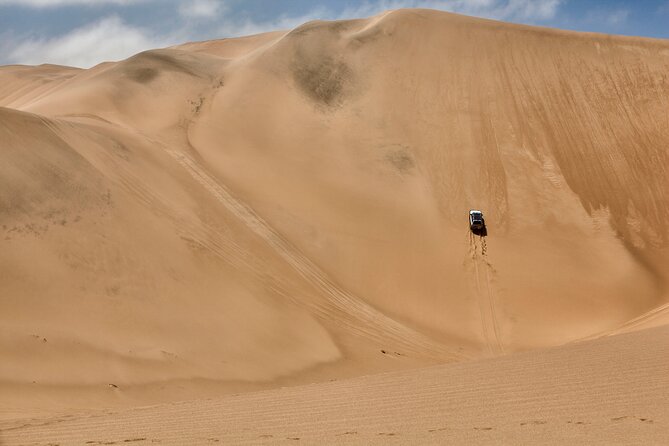 Half-Day Sandwich Harbour Tour From Walvis Bay With Lunch - Tour Overview