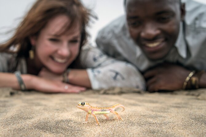 Half-Day Sandwich Harbour Tour From Walvis Bay With Lunch - Tour Details