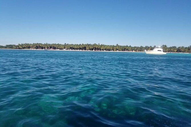 Half-Day Saona Island From La Romana Special for Cruisers - What to Expect