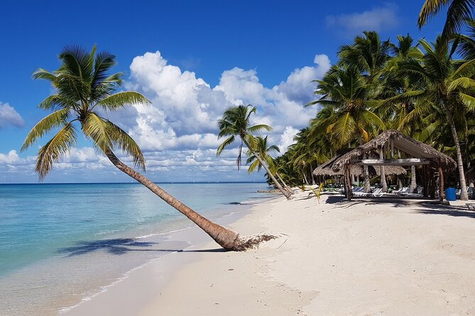 Half-Day Saona Island From La Romana Special for Cruisers - Booking Your Stay
