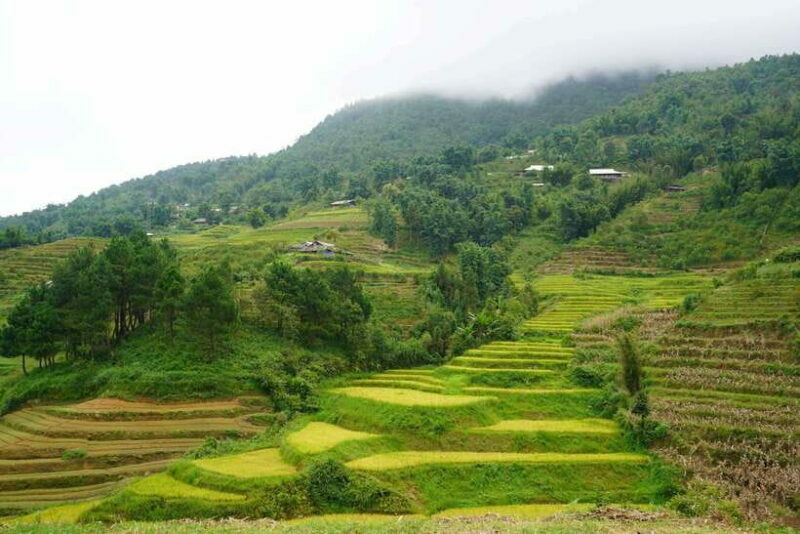 Half Day Sapa Trekking to Visit Lao Chai - Ta Van - FAQ: Common Questions About the Sapa Half-Day Trek