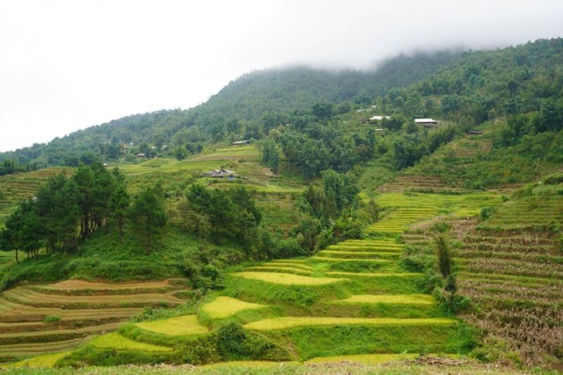 Half Day Sapa Trekking to Visit Lao Chai - Ta Van - Activity Details