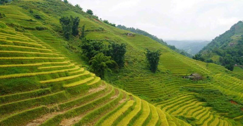 Half Day Sapa Trekking to Visit Lao Chai - Ta Van - Inclusions