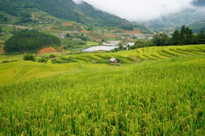 Half Day Sapa Trekking to Visit Lao Chai - Ta Van - Getting to Sapa