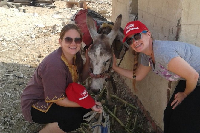 Half-Day Saqqara Pyramids and Memphis Tour From Cairo - Highlights of the Tour