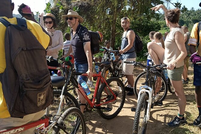 Half-Day Scenic Bike Tour - Inclusions