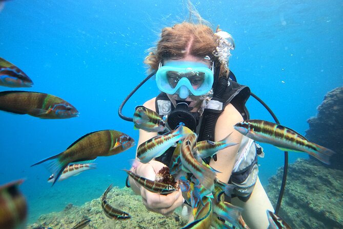 Half Day Scuba Diving @ Duden Waterfalls - Snacks, Drinks, and Beverages