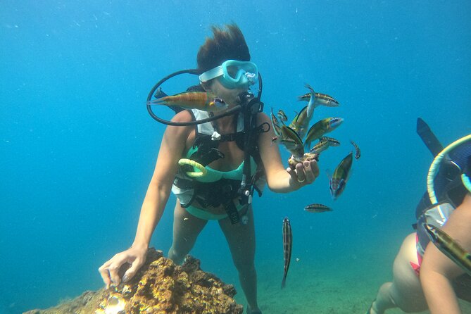 Half Day Scuba Diving @ Duden Waterfalls - Cancellation Policy and Booking