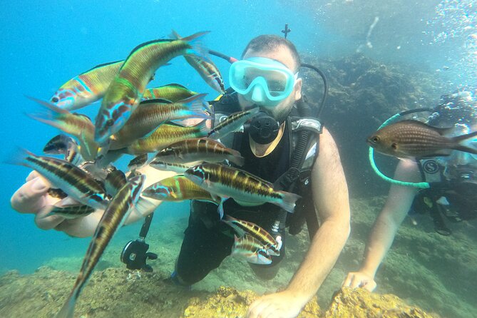 Half Day Scuba Diving @ Duden Waterfalls - Traveler Reviews and Ratings