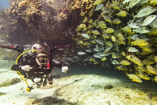 Half-Day Scuba Diving in Playa Del Carmen for Small-Group - Scuba Diving Highlights