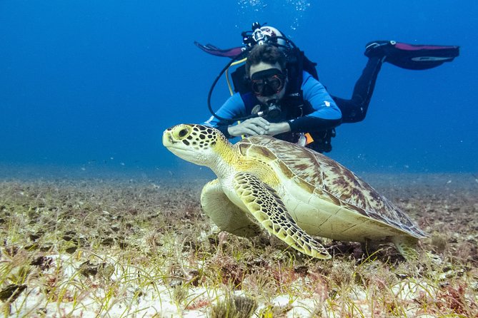 Half-Day Scuba Diving in Playa Del Carmen for Small-Group - Diving Safety Precautions