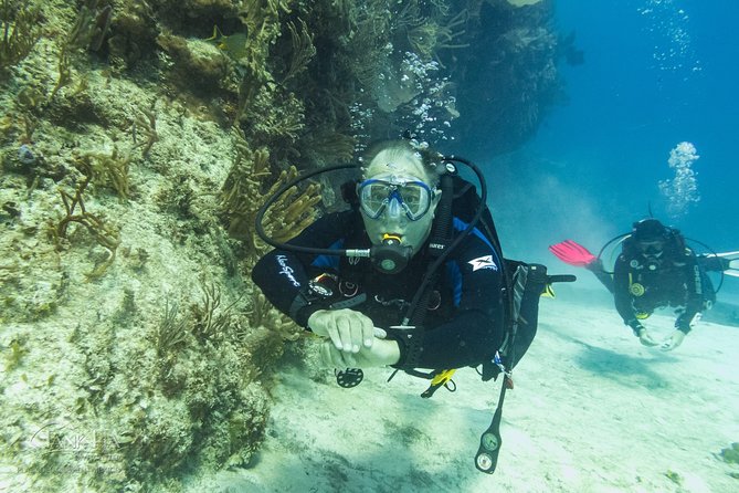 Half-Day Scuba Diving in Playa Del Carmen for Small-Group - Booking and Cancellation
