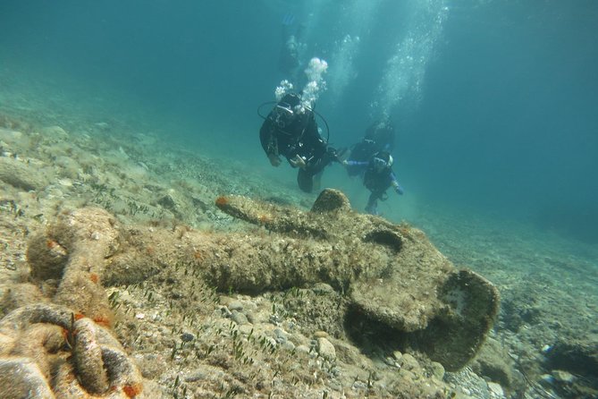 Half-Day Scuba Diving Tour - Discover Scuba Diving! - Underwater Marine Life Observation