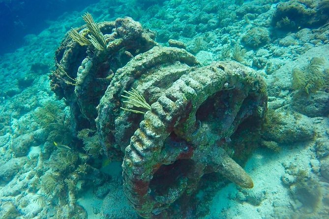Half Day Scuba Diving Trip in the Florida Keys - Amenities