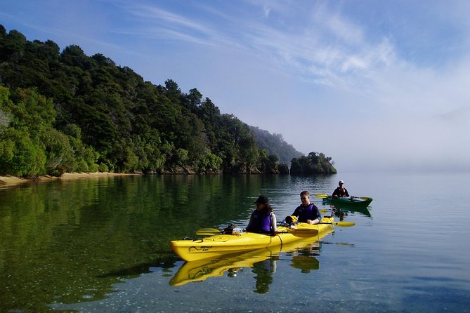 Half Day Sea Kayak Guided Tour From Picton - Participant Requirements
