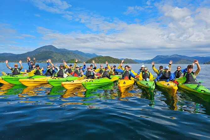 Half Day Sea Kayak Guided Tour From Picton - Guided Experience