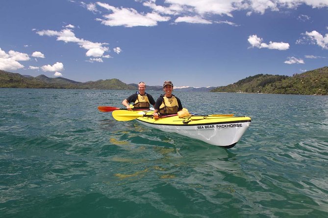 Half Day Sea Kayak Guided Tour From Picton - Traveler Feedback