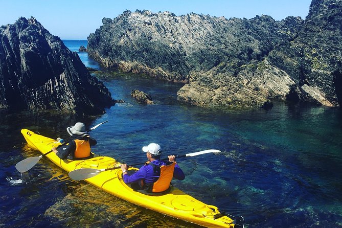 Half Day Sea Kayak Tour From Batemans Bay With Morning Tea and Snorkeling - Meeting and Cancellation Policies