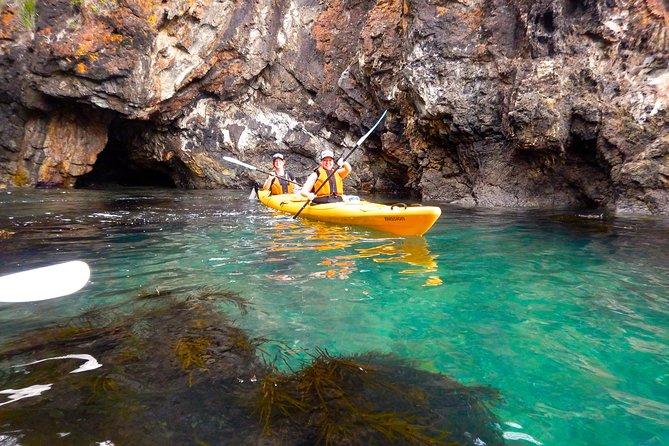 Half Day Sea Kayak Tour From Batemans Bay With Morning Tea and Snorkeling - Preparing for the Tour