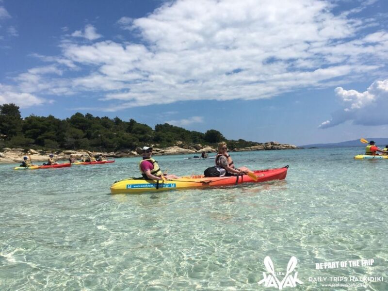 Half Day Sea Kayak Trip - Experience Highlights