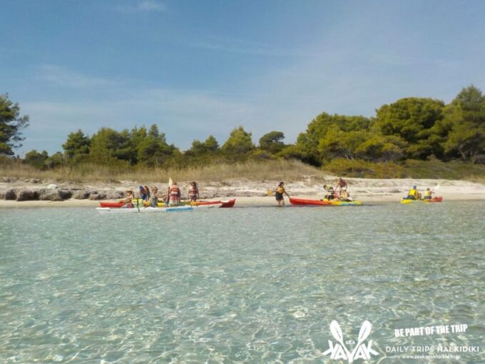 Half Day Sea Kayak Trip - Accessibility and Suitability