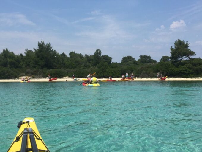 Half Day Sea Kayak Trip - Frequently Asked Questions