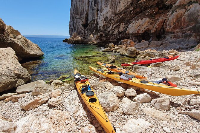 Half Day Sea Kayak Trip - Fitness and Traveler Capacity
