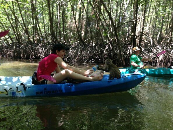 Half-Day Sea Kayaking Adventure in Ao Thalane Bay from Krabi - Key Points