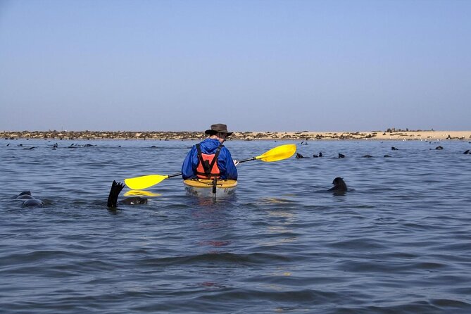 Half-Day Seal Kayak Adventure at Pelican Point in Walvis Bay - Key Points