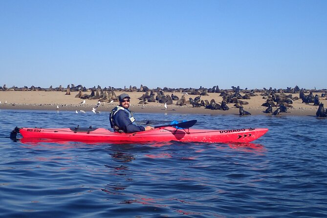 Half-Day Seal Kayak Adventure at Pelican Point in Walvis Bay - Cancellation and Refund Policy