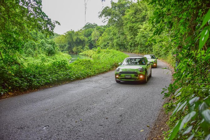 Half-Day Self Driven MINI Cooper Tour From Montego Bay - Participant Requirements