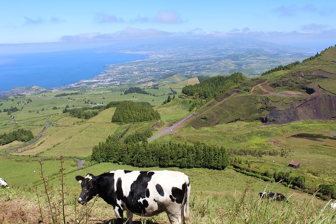 Half Day Sete Cidades PRIVATE Jeep Tour - Highlights of the Tour