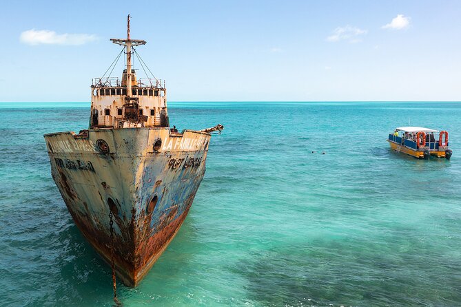 Half-Day Shipwrecks Tour and Floating Bar, Adults Only - Traveler Reviews and Feedback