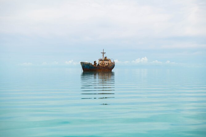 Half-Day Shipwrecks Tour and Floating Bar, Adults Only - Local History and Marine Environment