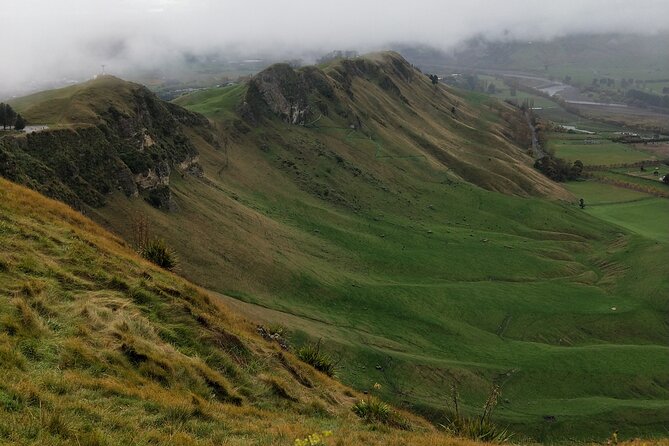 Half Day Sights and Tastes Tour in Napier - Booking Information