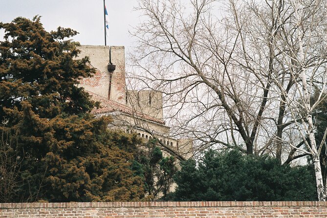 Half-Day Sightseeing and Walking Tour of Belgrade City - Reviews and Feedback